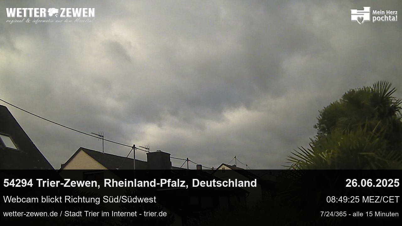 Bild