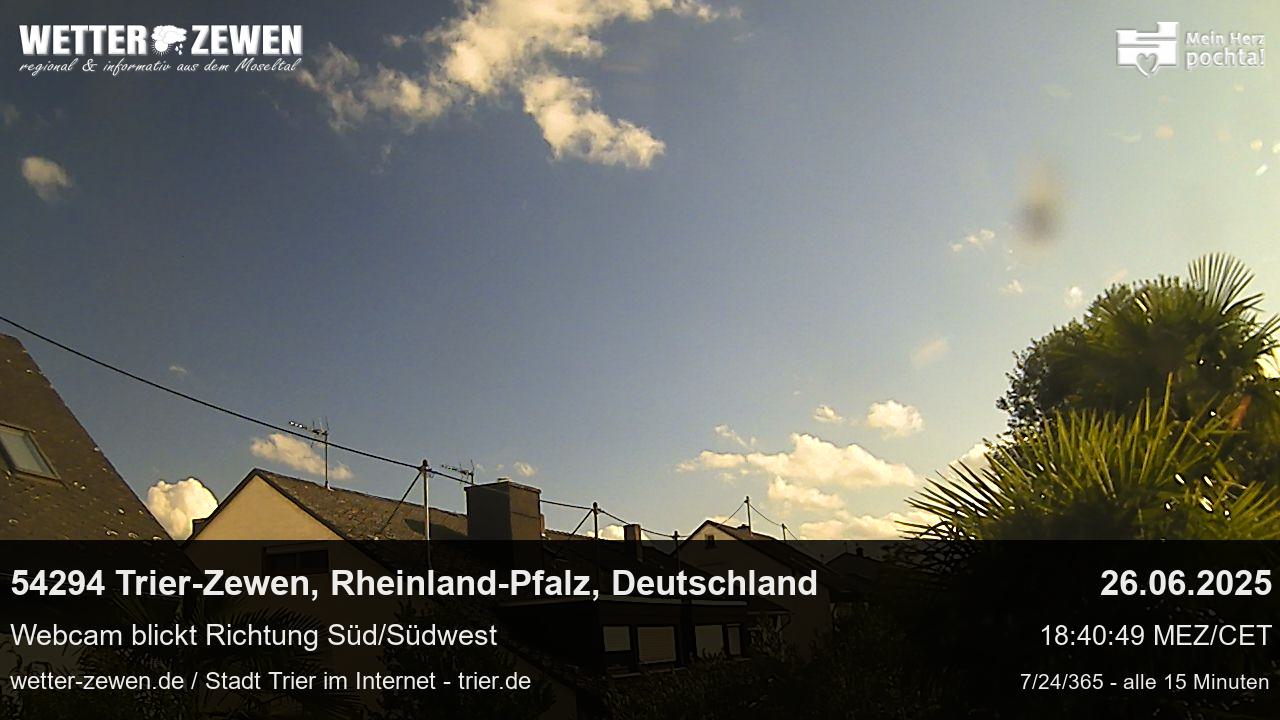 Bild