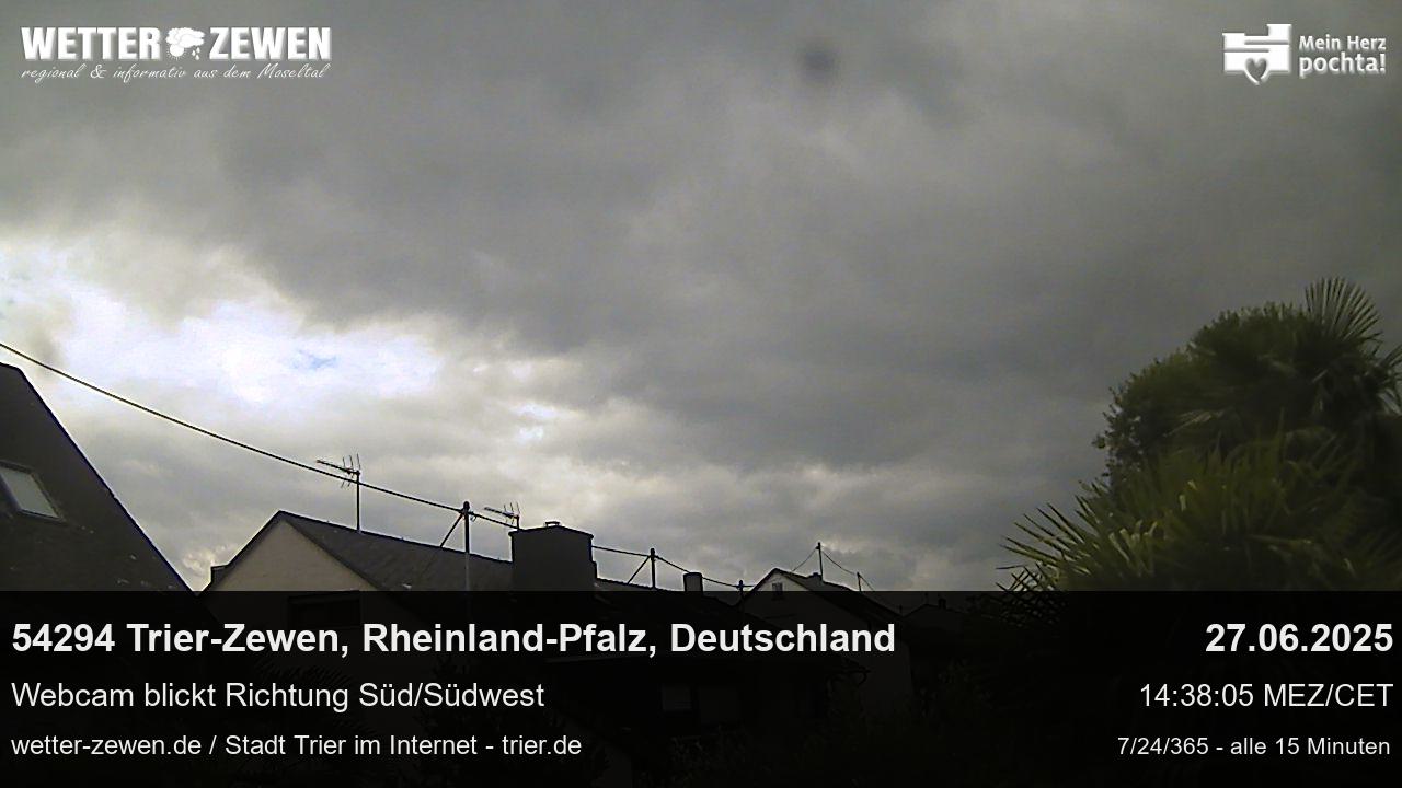 Bild