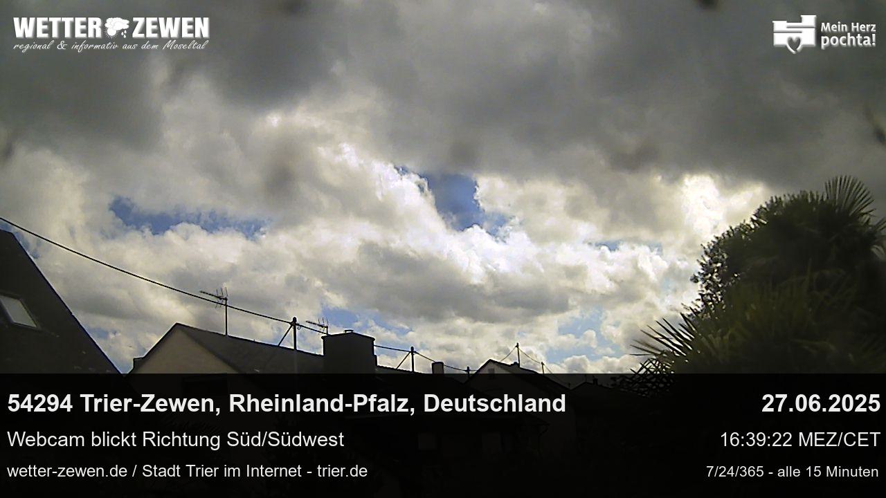 Bild