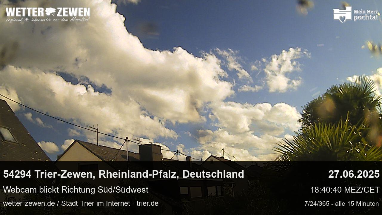 Bild