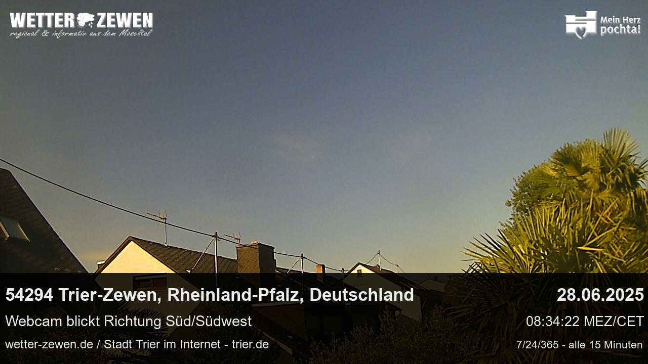 Bild