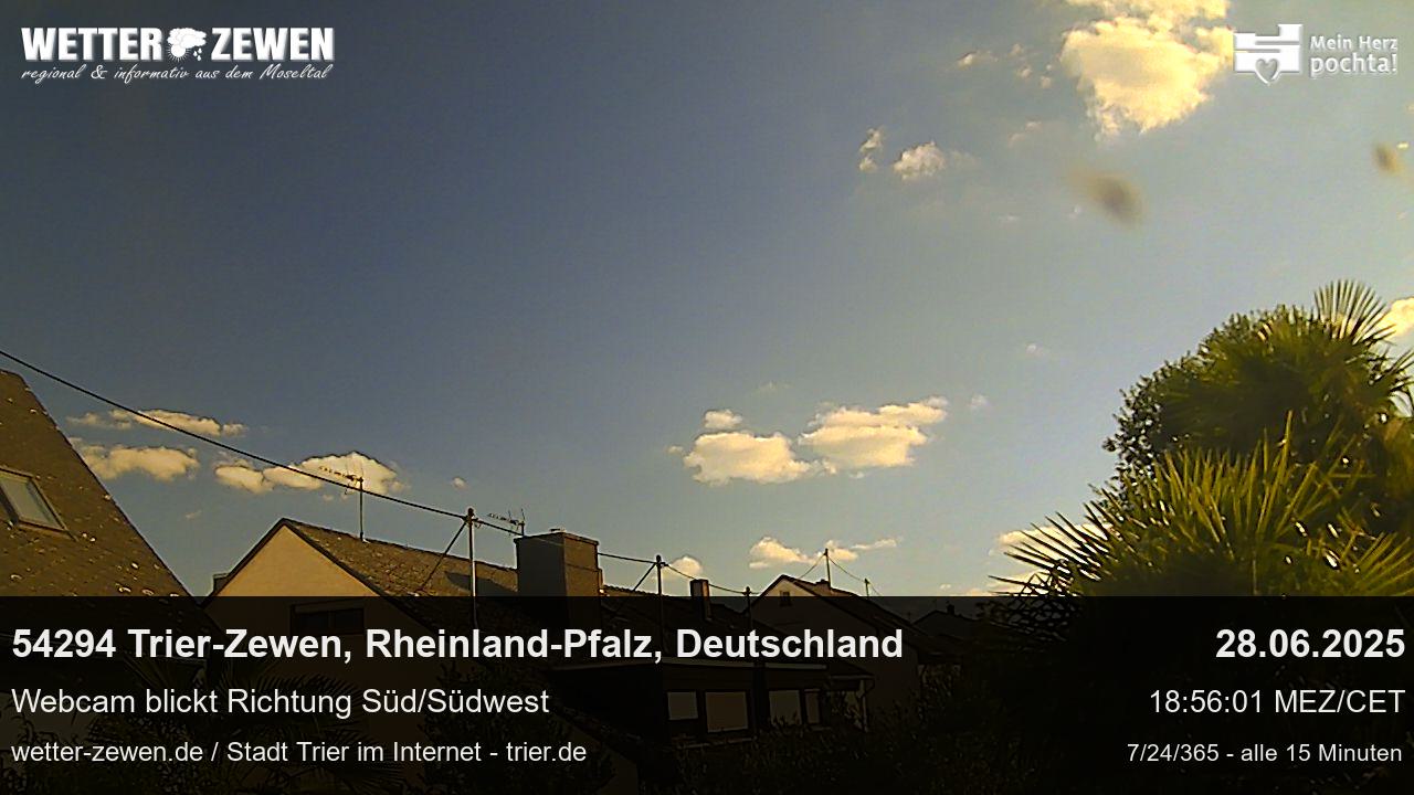 Bild