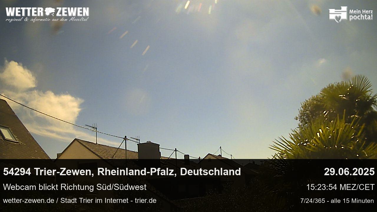 Bild