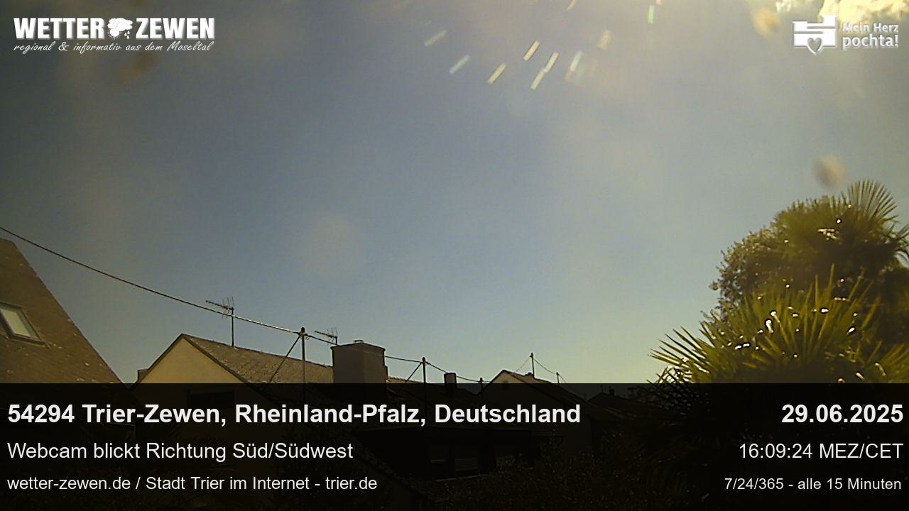 Bild