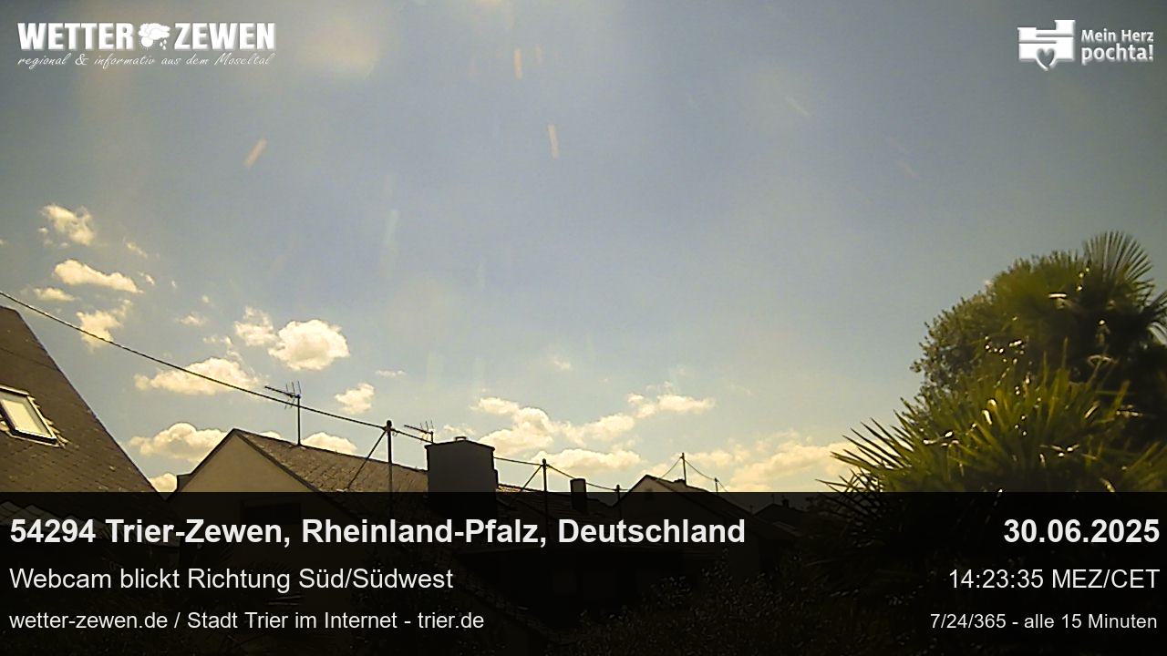 Bild