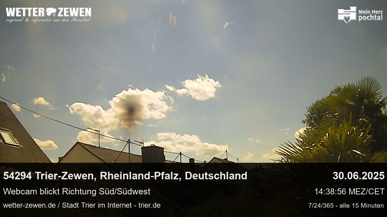 Bild
