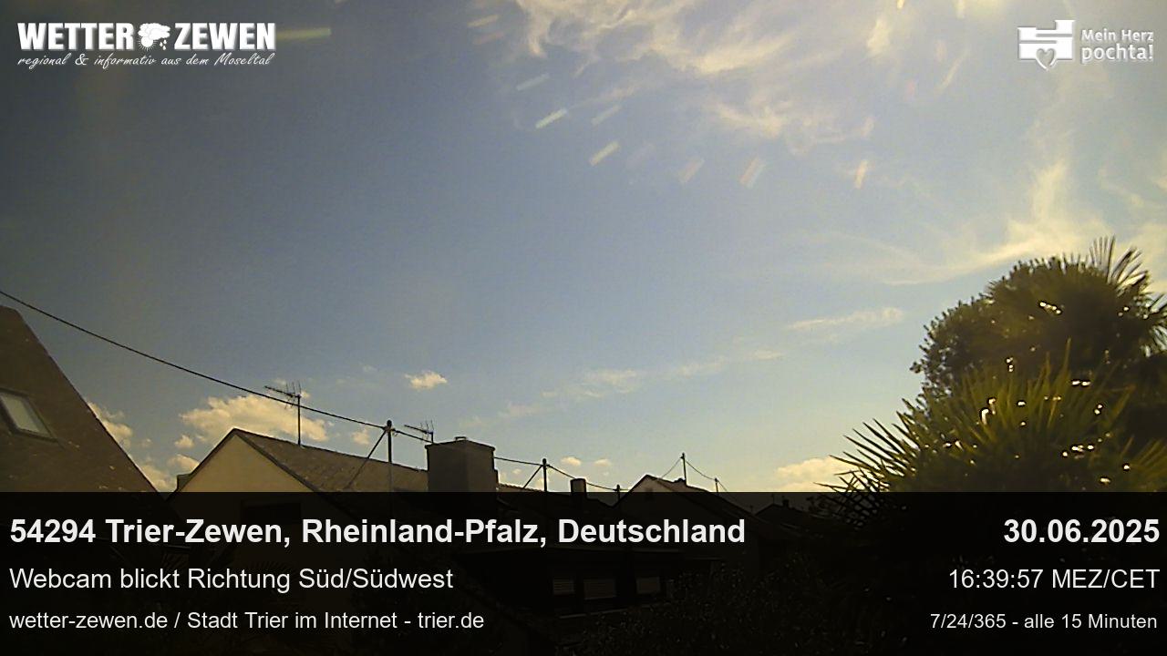 Bild