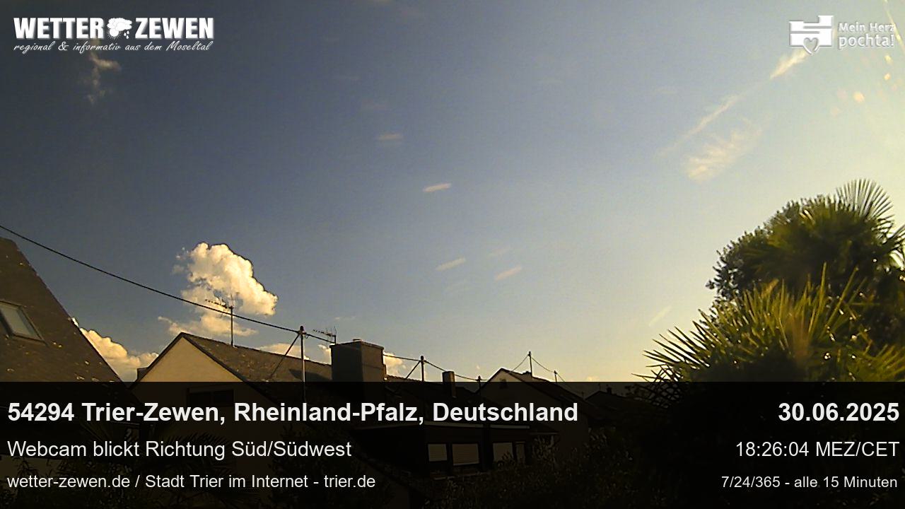 Bild