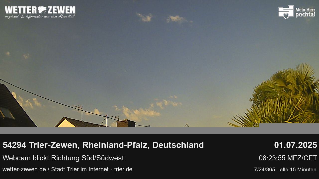 Bild
