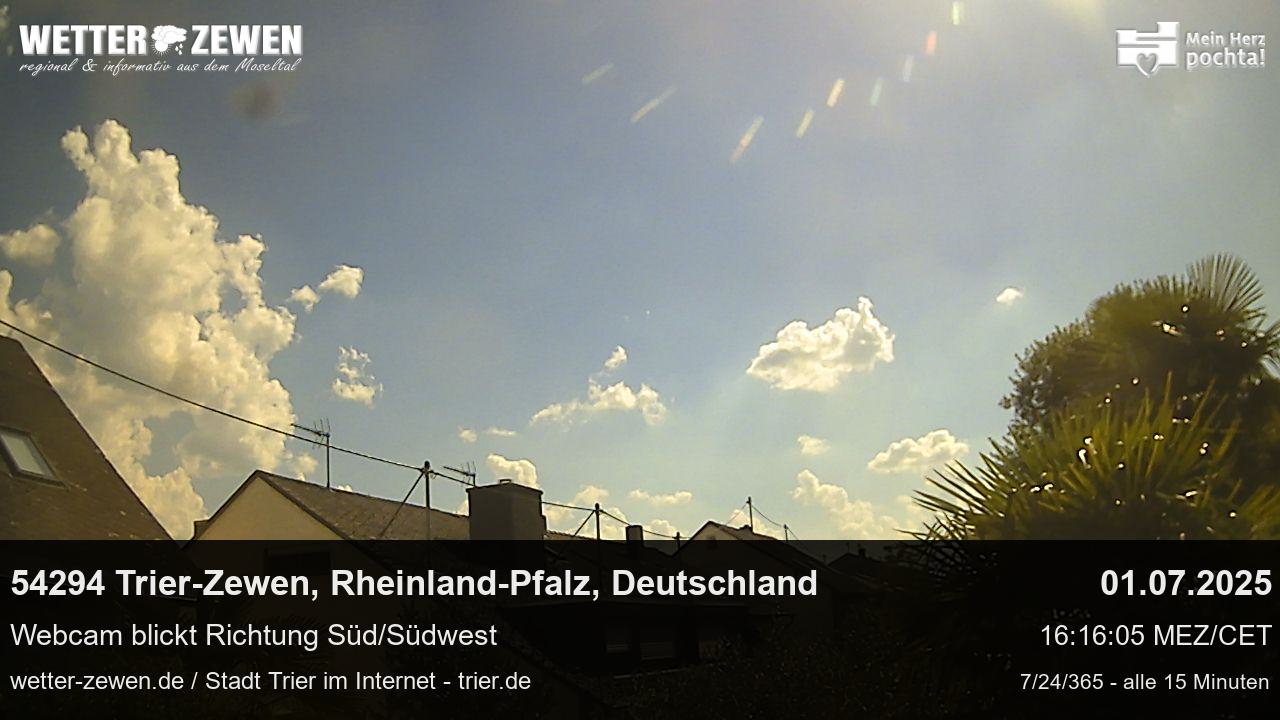 Bild