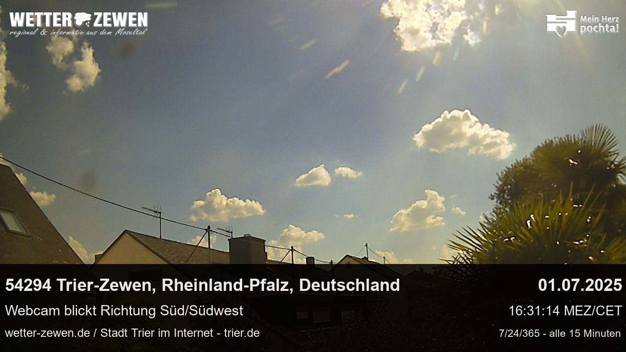 Bild
