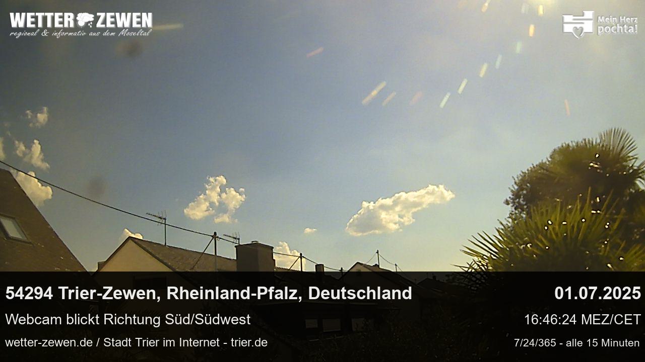 Bild