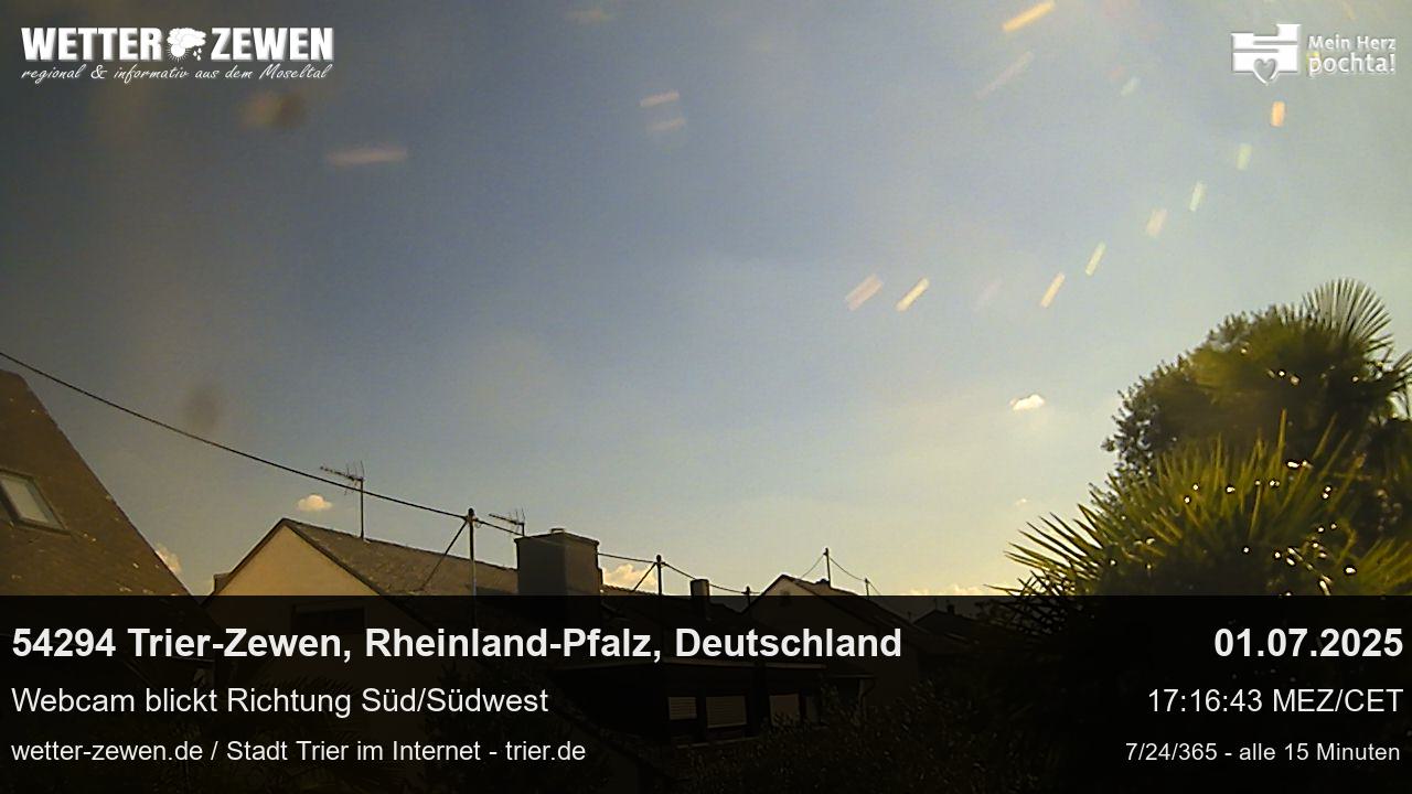 Bild
