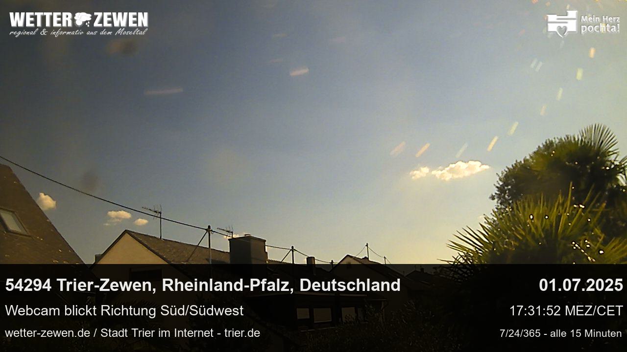 Bild