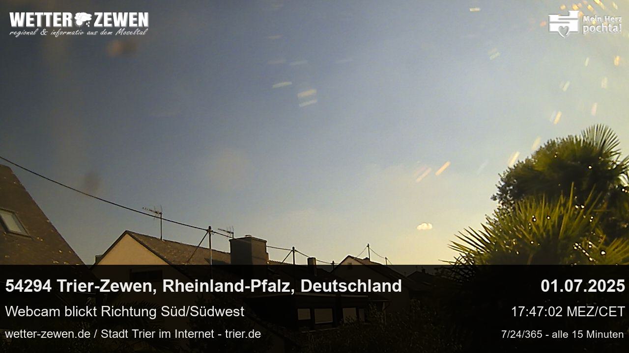 Bild