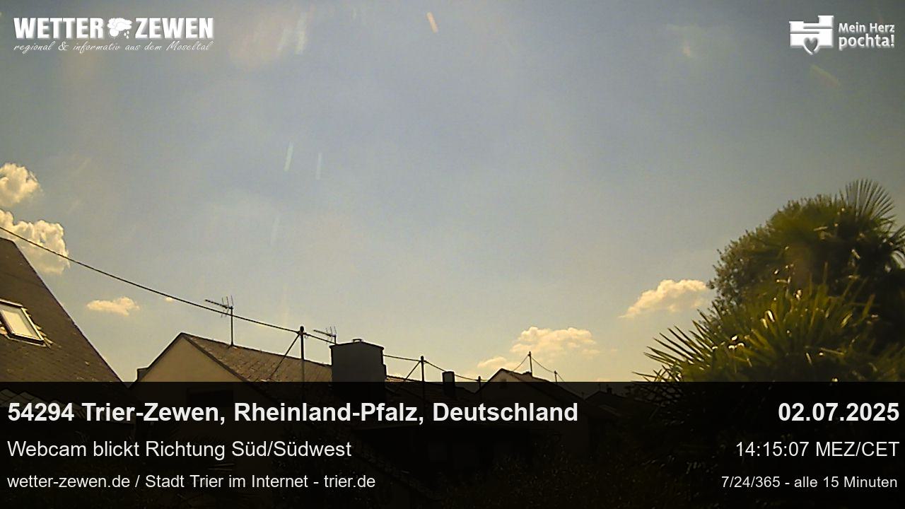 Bild