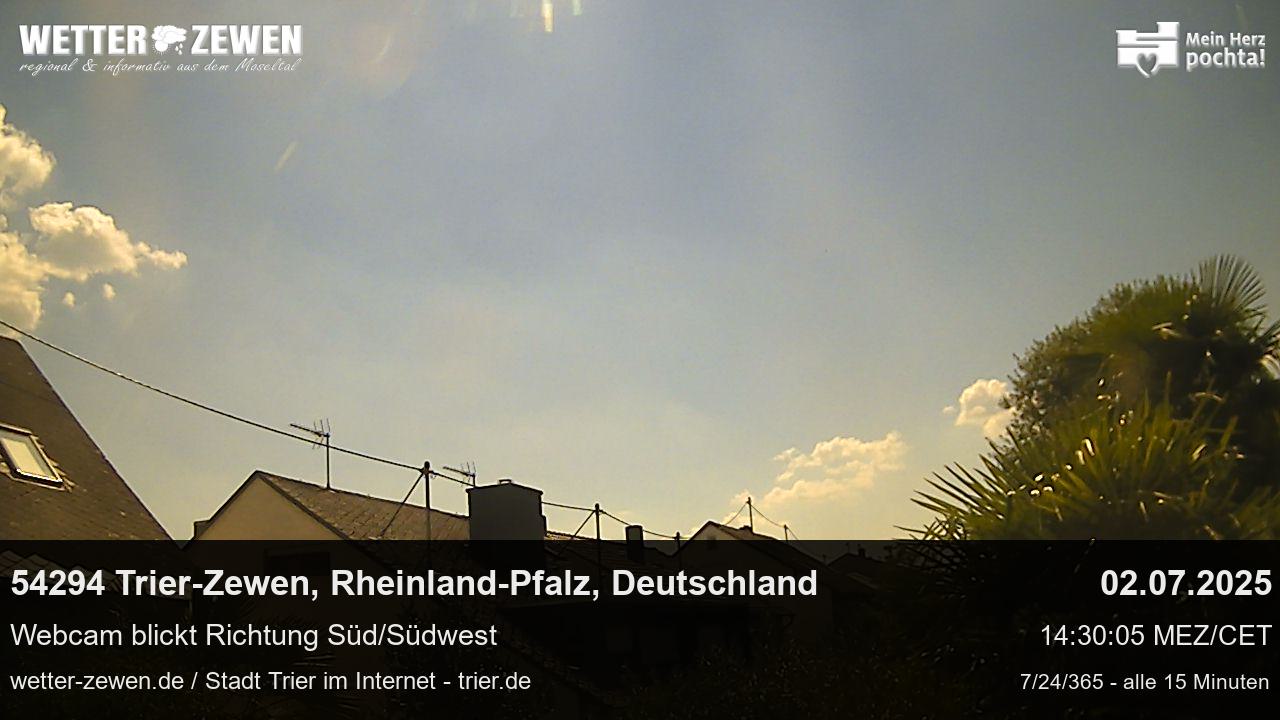 Bild