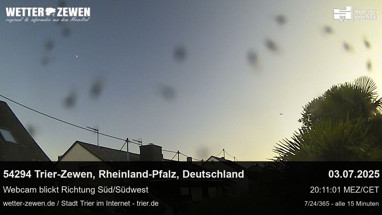 Bild