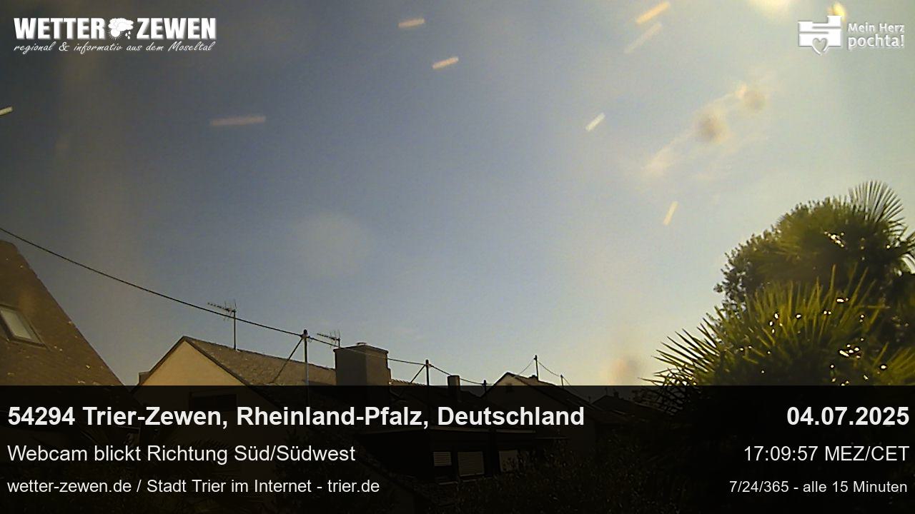 Bild