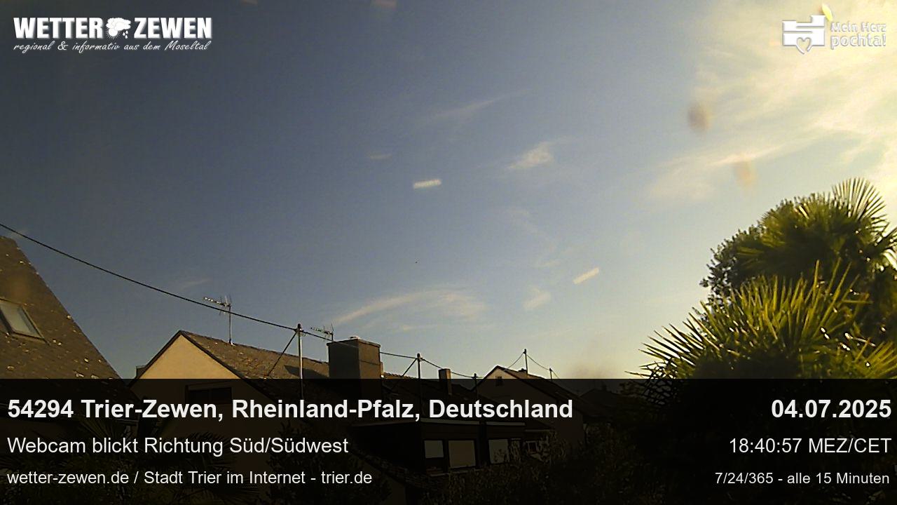 Bild