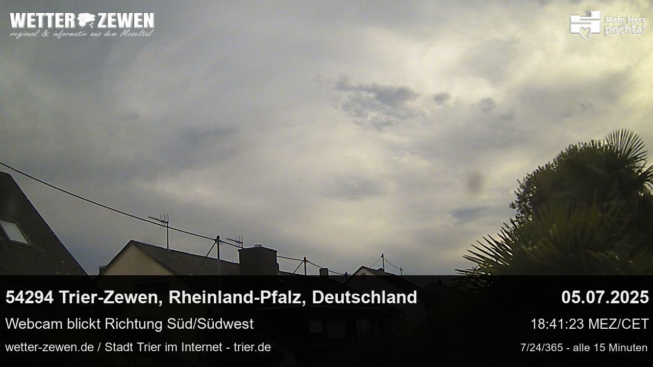 Bild