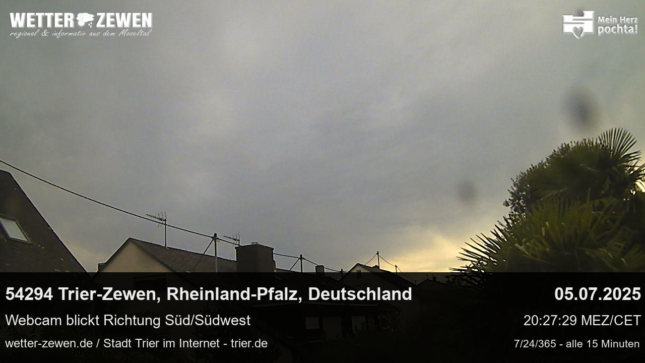 Bild