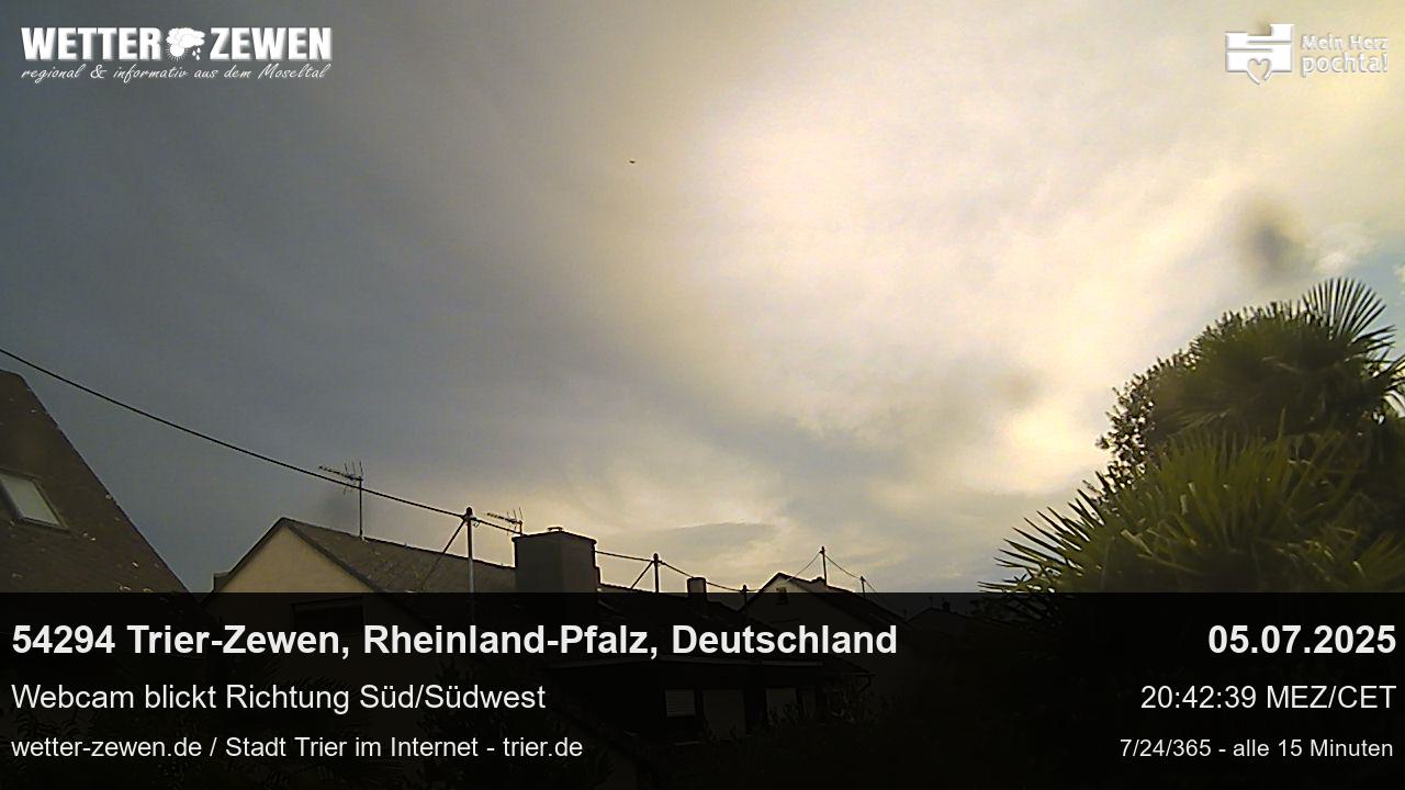 Bild