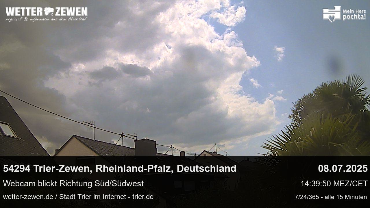 Bild