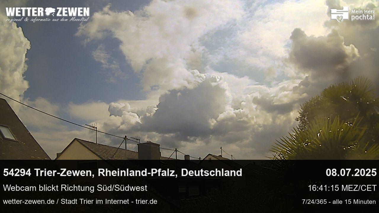 Bild