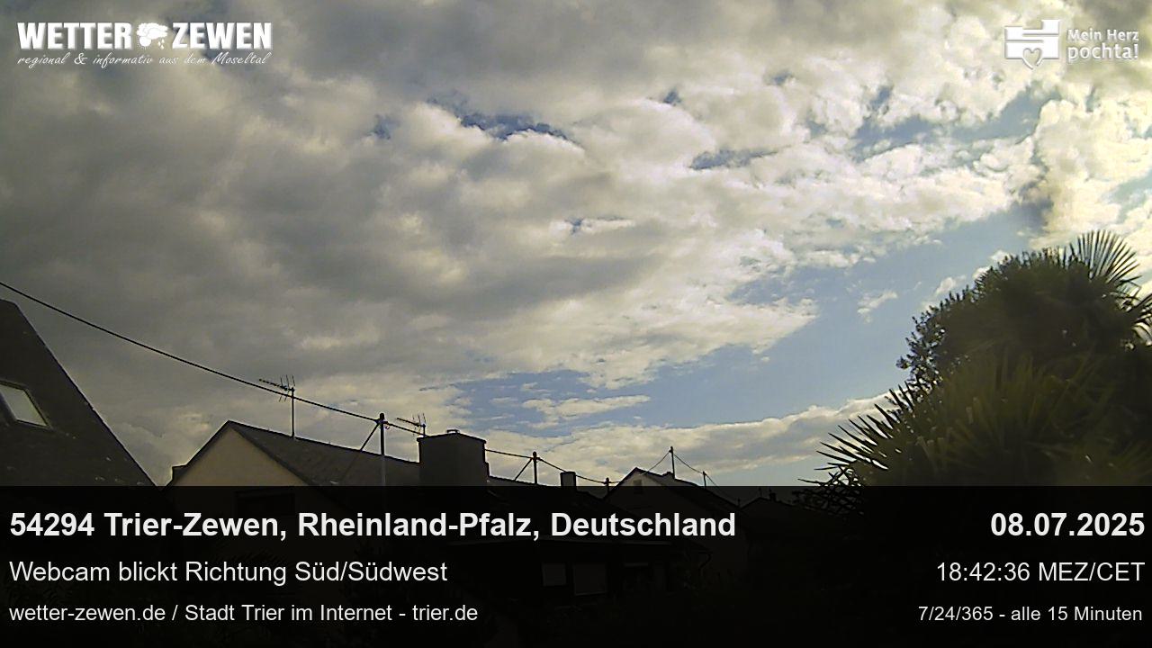 Bild