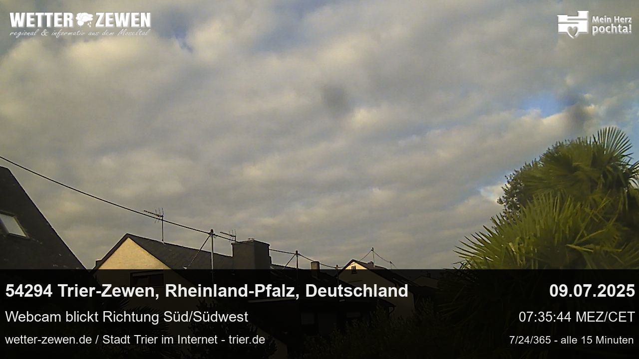 Bild