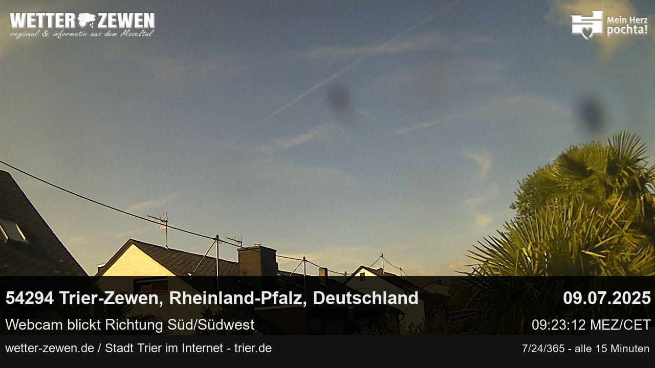 Bild