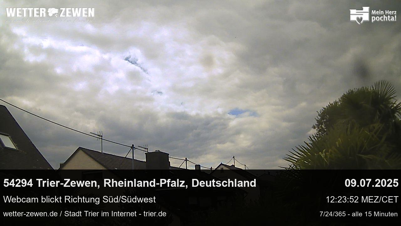 Bild