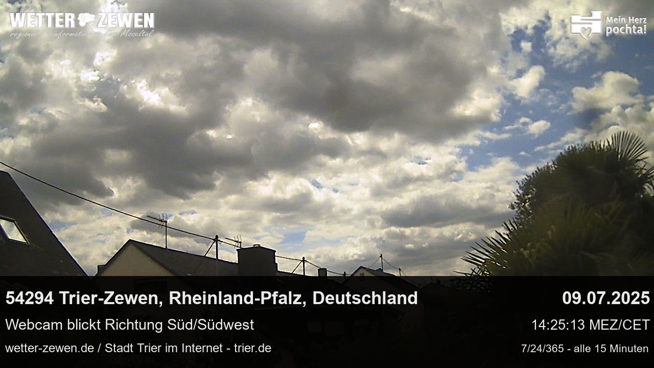 Bild