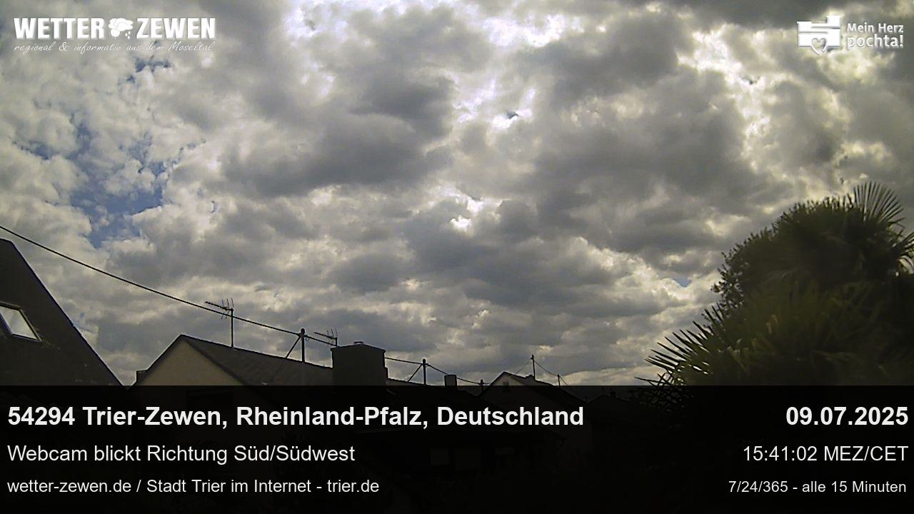 Bild