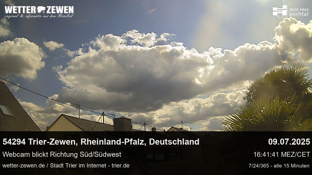Bild