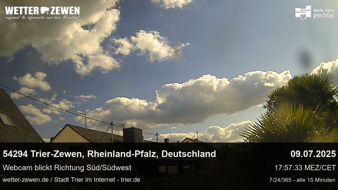 Bild