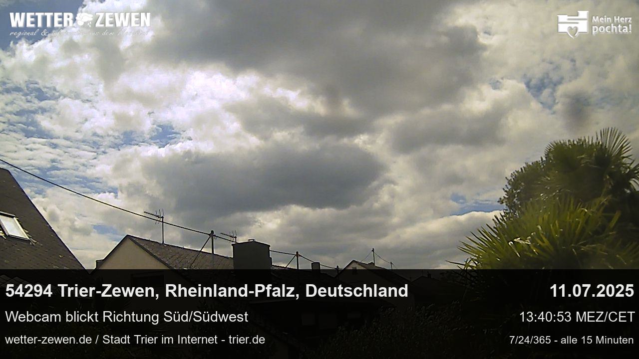 Bild