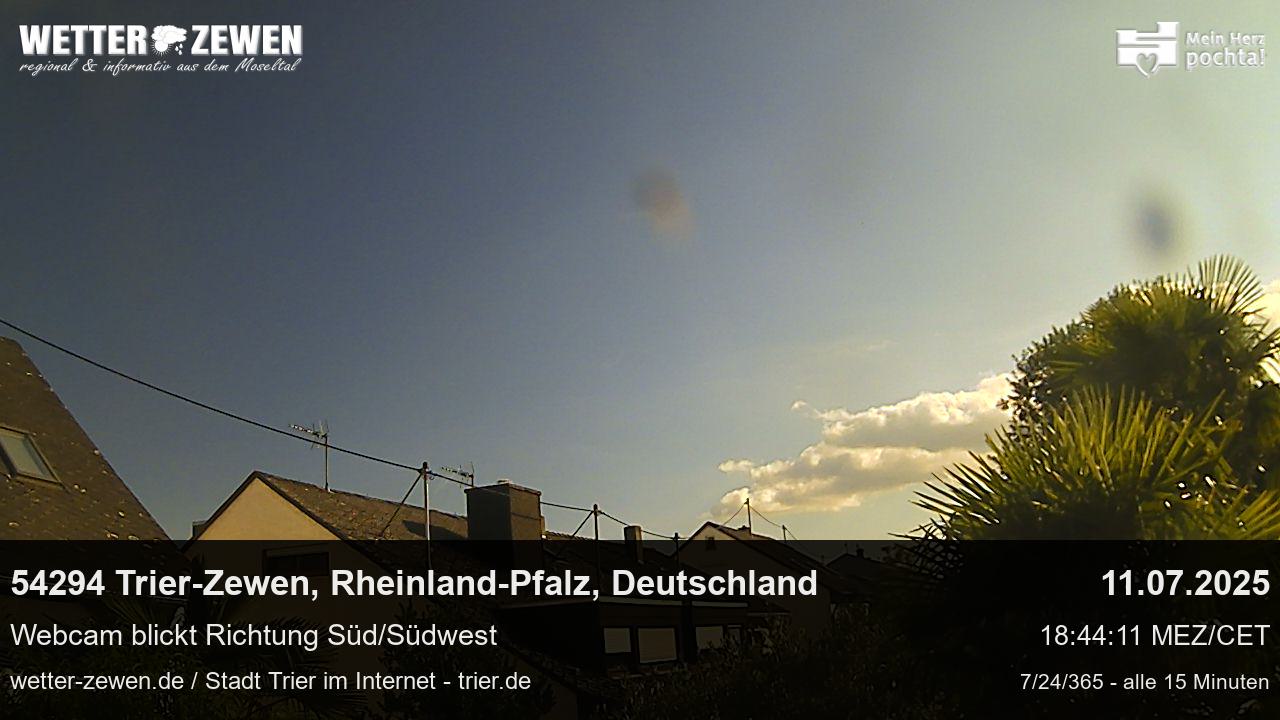 Bild