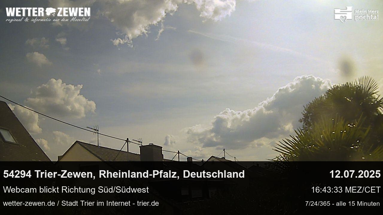 Bild
