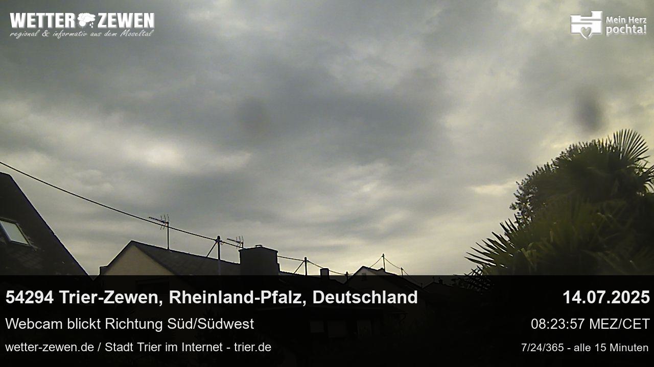 Bild