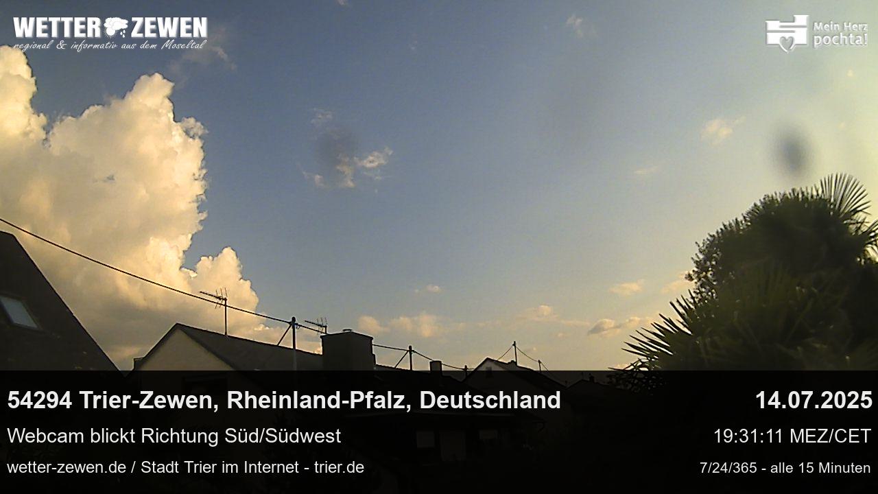 Bild