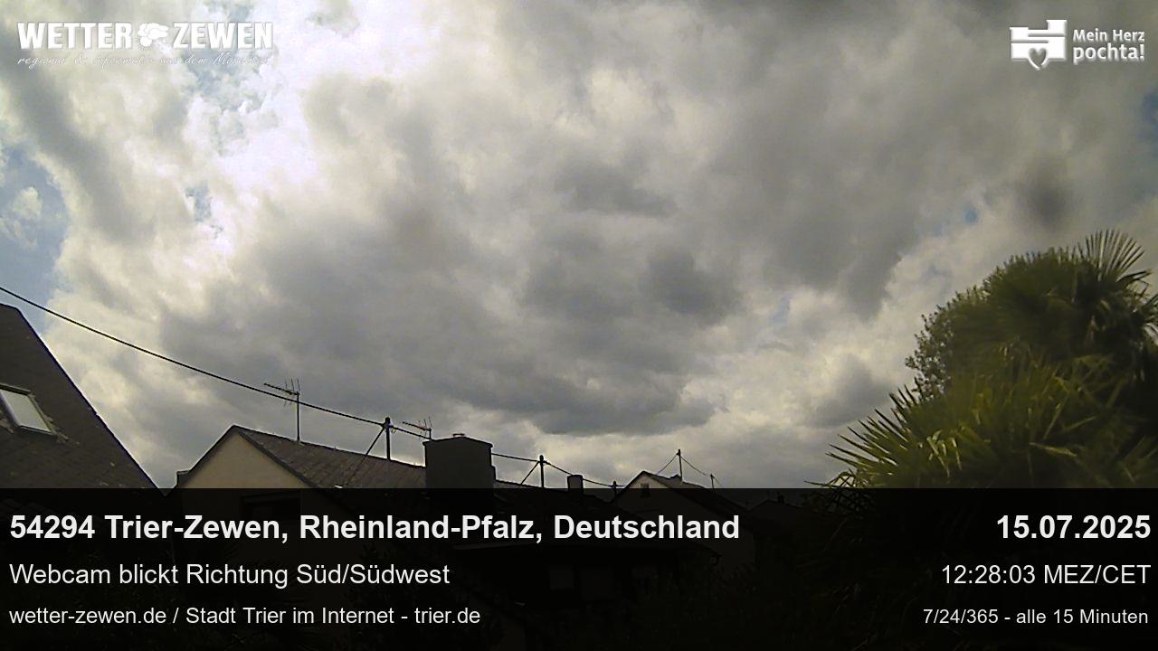 Bild