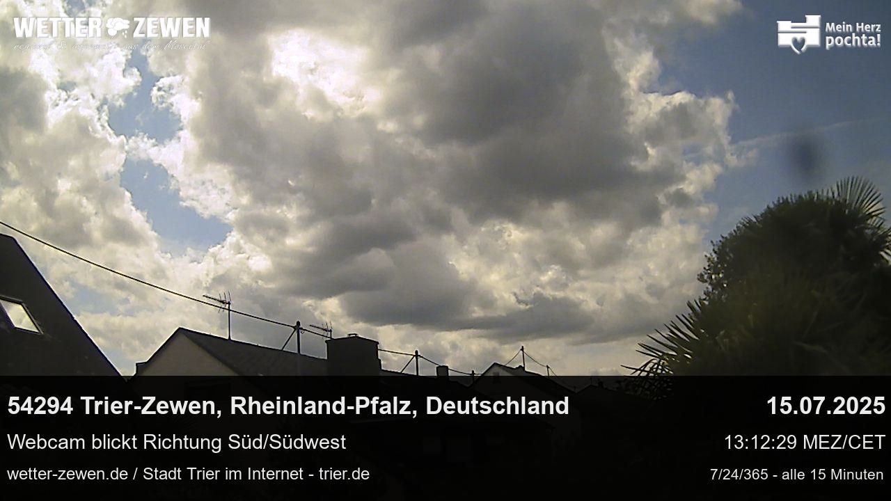 Bild