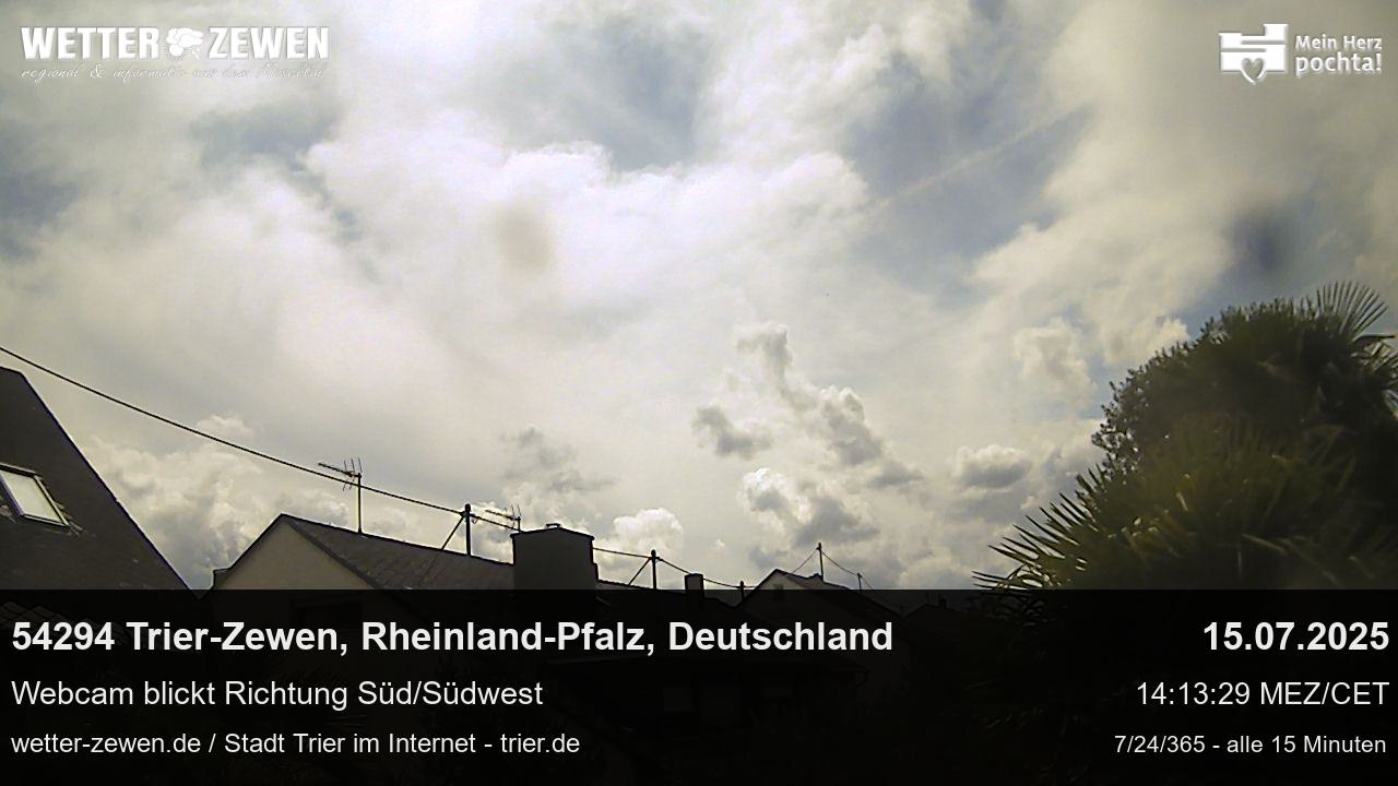 Bild