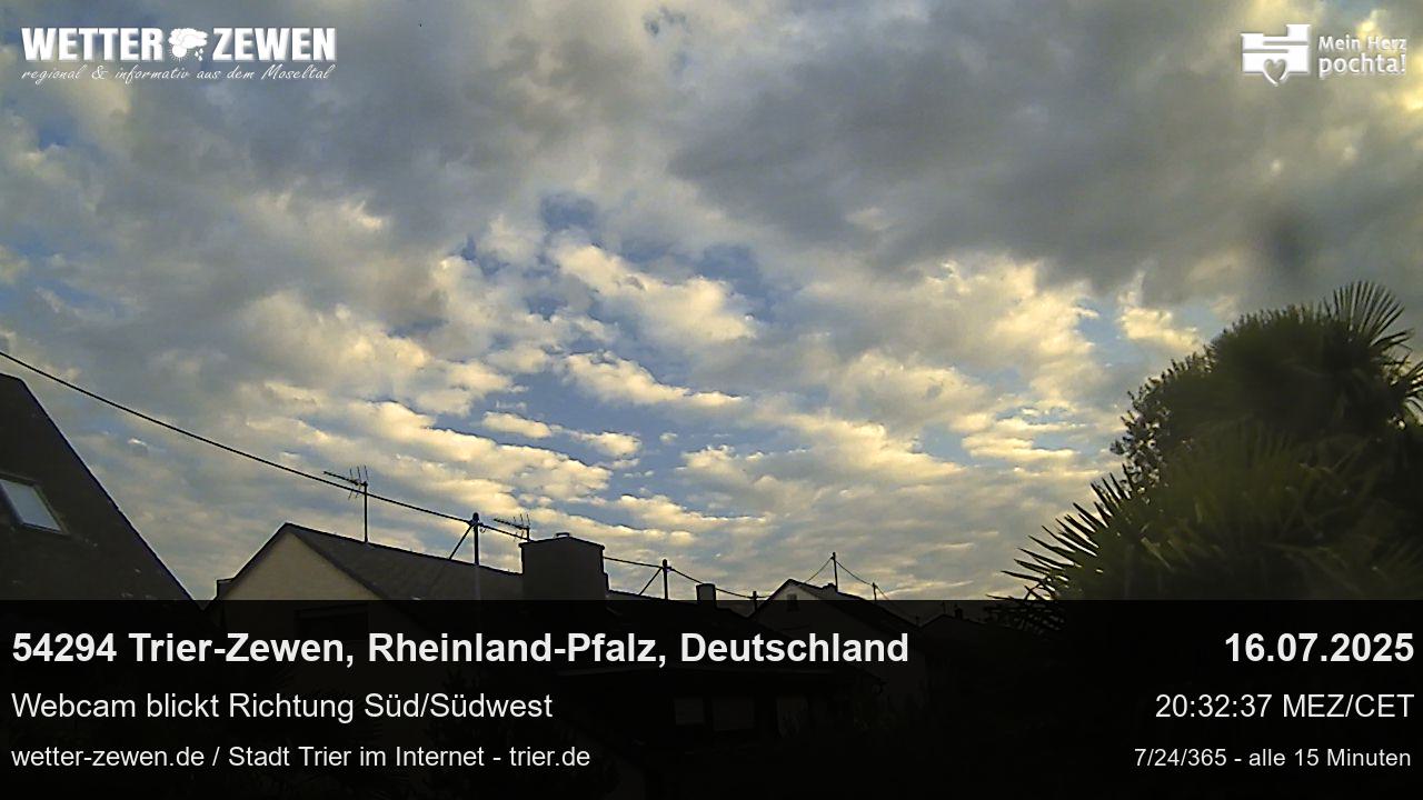 Bild