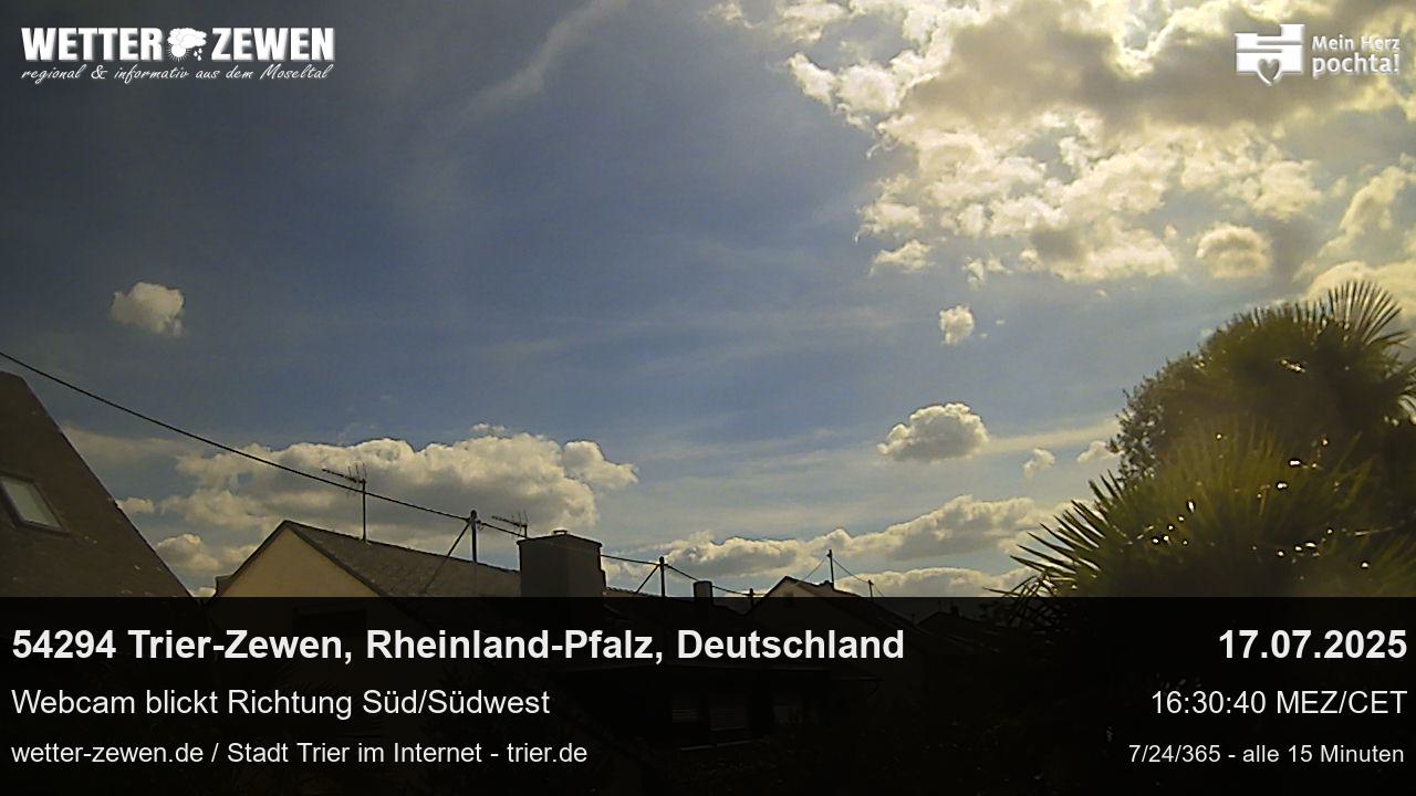 Bild