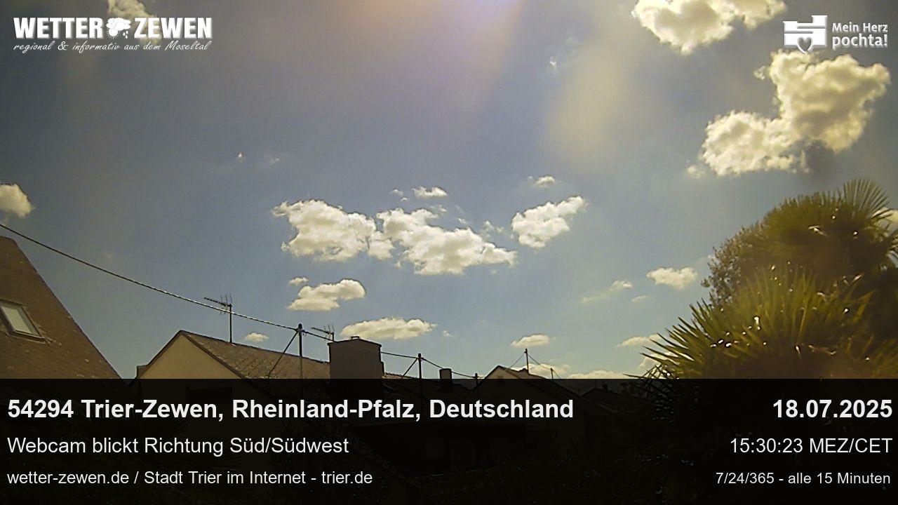 Bild
