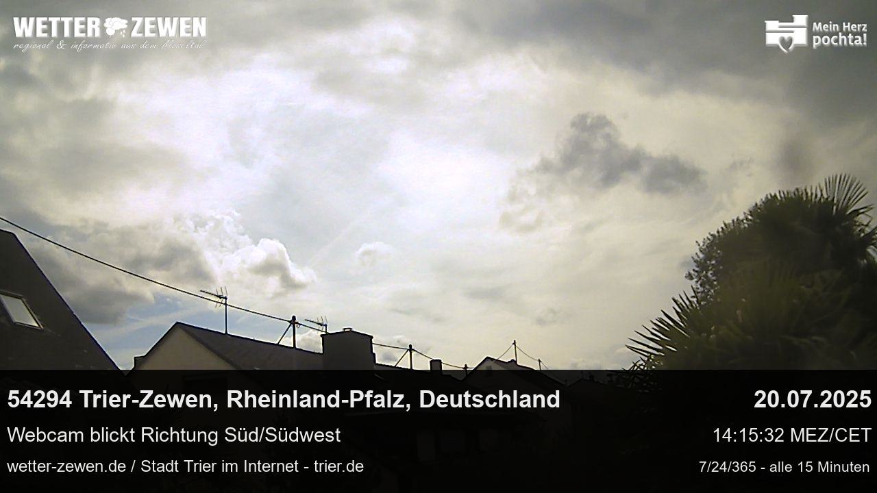 Bild